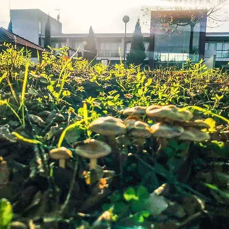 酒店 圣玛格丽达酒店