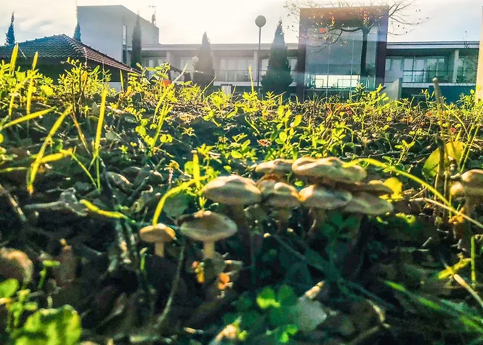 Hotel Santa Margarida